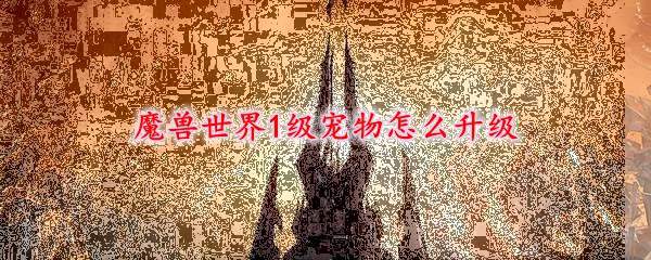 魔兽世界1级宠物怎么升级