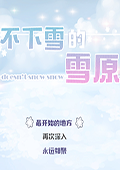 不下雪的雪原 中文版